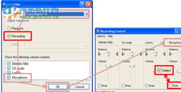 bandicam破解補(bǔ)丁 bandicam破解補(bǔ)丁文件包 2.1.2.740 免費(fèi)版 河?xùn)|下載站