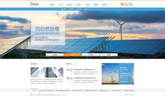 天津網站開發 能源化工官網
